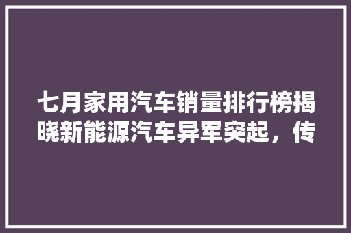 七月家用汽车销量排行榜揭晓新能源汽车异军突起，传统燃油车市场格局生变
