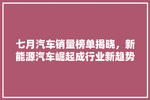 七月汽车销量榜单揭晓，新能源汽车崛起成行业新趋势  第1张