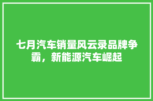 七月汽车销量风云录品牌争霸，新能源汽车崛起  第1张
