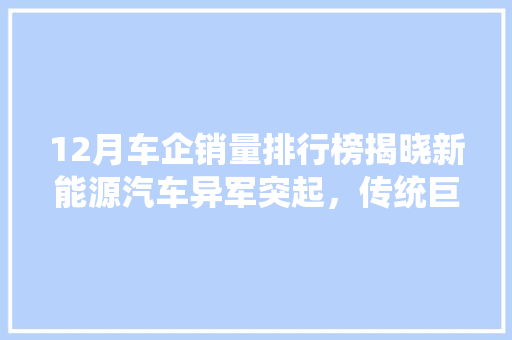 12月车企销量排行榜揭晓新能源汽车异军突起，传统巨头压力山大