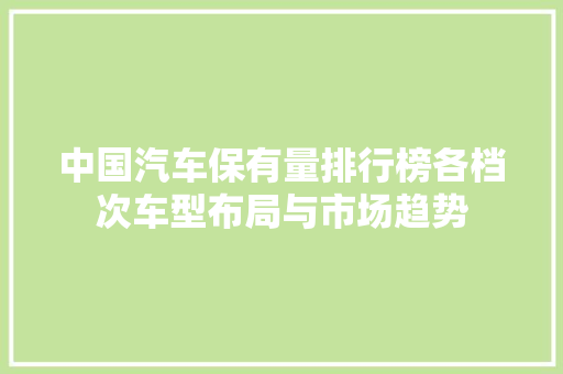 中国汽车保有量排行榜各档次车型布局与市场趋势