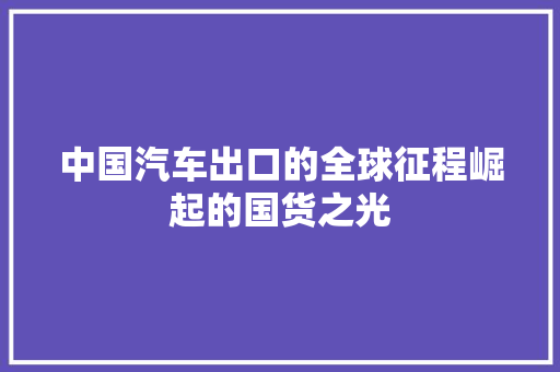 中国汽车出口的全球征程崛起的国货之光