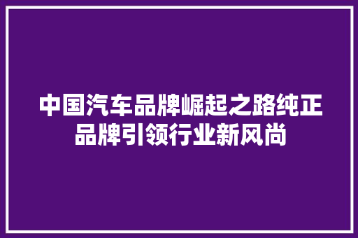 中国汽车品牌崛起之路纯正品牌引领行业新风尚  第1张