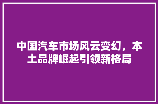 中国汽车市场风云变幻，本土品牌崛起引领新格局