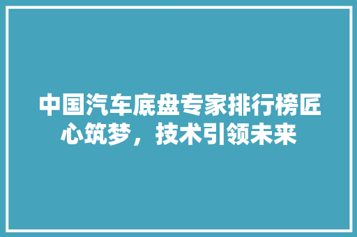 中国汽车底盘专家排行榜匠心筑梦，技术引领未来