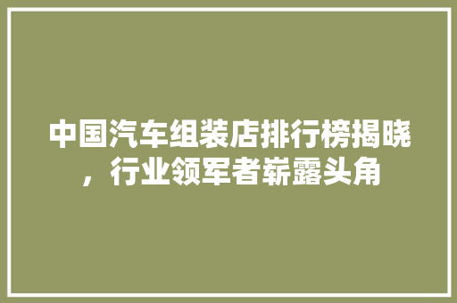 中国汽车组装店排行榜揭晓，行业领军者崭露头角  第1张