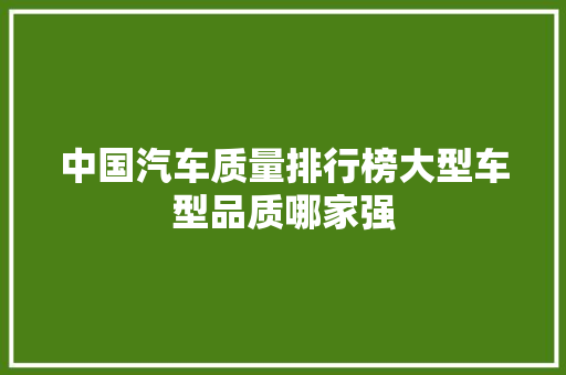 中国汽车质量排行榜大型车型品质哪家强