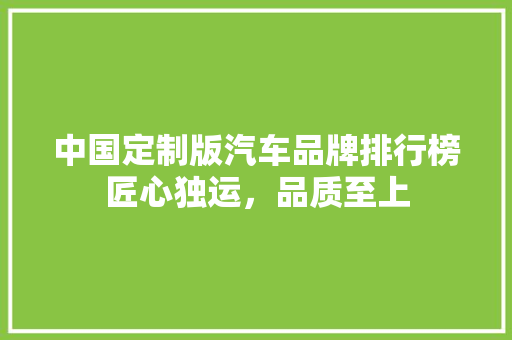 中国定制版汽车品牌排行榜匠心独运，品质至上  第1张