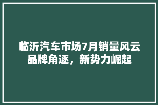 临沂汽车市场7月销量风云品牌角逐，新势力崛起