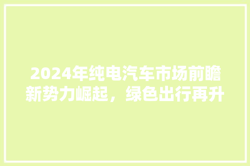 2024年纯电汽车市场前瞻新势力崛起，绿色出行再升级