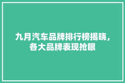 九月汽车品牌排行榜揭晓，各大品牌表现抢眼