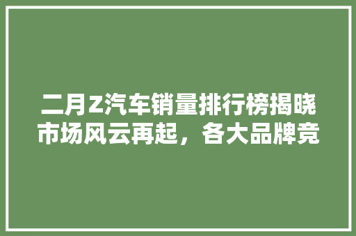 二月Z汽车销量排行榜揭晓市场风云再起，各大品牌竞争激烈