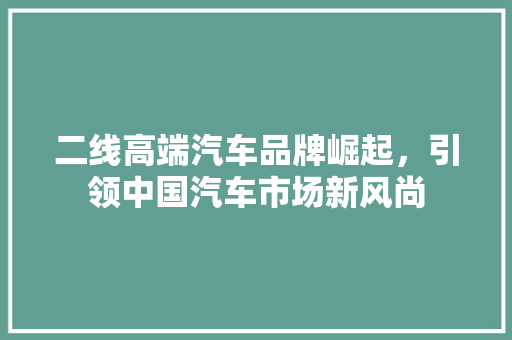二线高端汽车品牌崛起，引领中国汽车市场新风尚