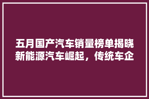 五月国产汽车销量榜单揭晓新能源汽车崛起，传统车企稳扎稳打
