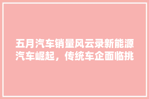 五月汽车销量风云录新能源汽车崛起，传统车企面临挑战