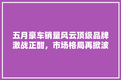 五月豪车销量风云顶级品牌激战正酣，市场格局再掀波澜