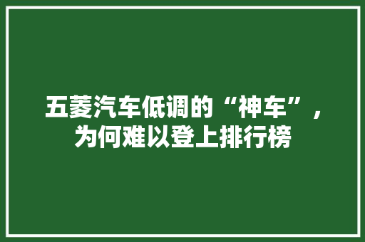 五菱汽车低调的“神车”，为何难以登上排行榜