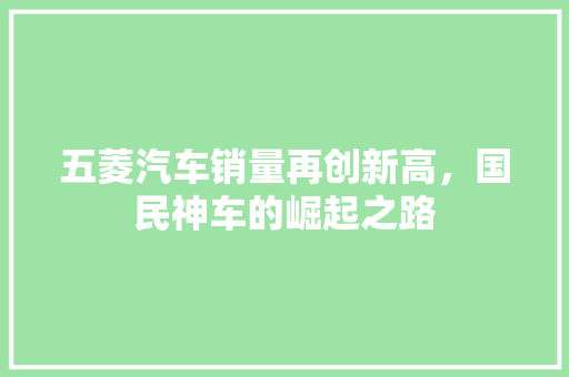 五菱汽车销量再创新高，国民神车的崛起之路
