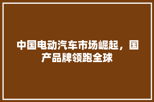 中国电动汽车市场崛起，国产品牌领跑全球
