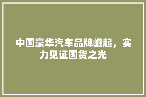 中国豪华汽车品牌崛起，实力见证国货之光  第1张