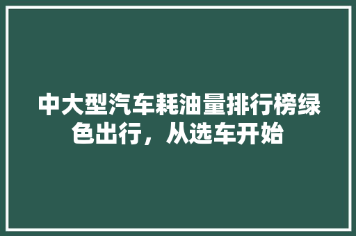 中大型汽车耗油量排行榜绿色出行，从选车开始