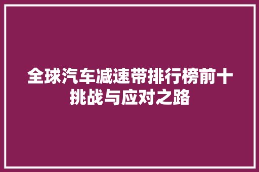 全球汽车减速带排行榜前十挑战与应对之路