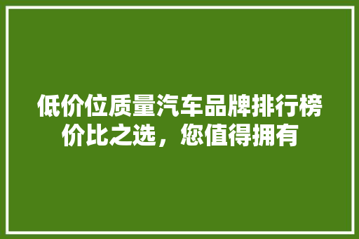 低价位质量汽车品牌排行榜价比之选，您值得拥有