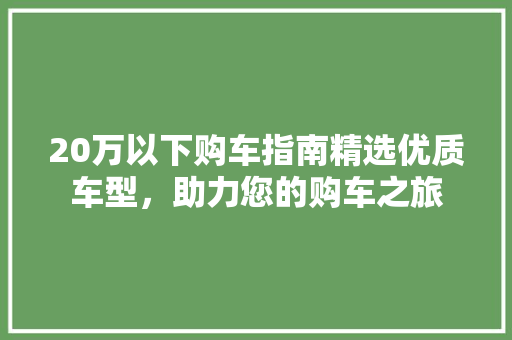 20万以下购车指南精选优质车型，助力您的购车之旅
