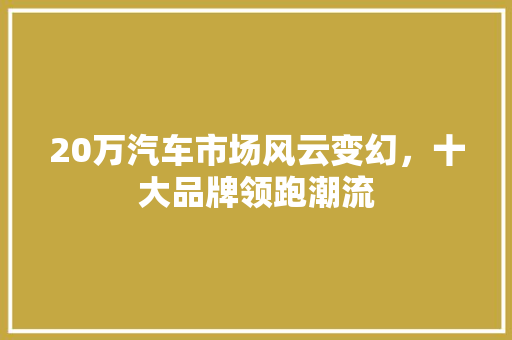 20万汽车市场风云变幻，十大品牌领跑潮流
