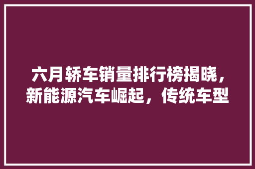 六月轿车销量排行榜揭晓，新能源汽车崛起，传统车型稳居前列