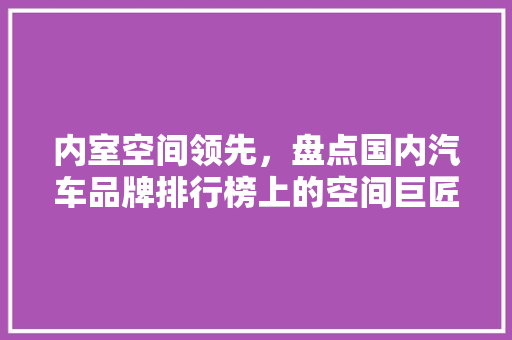 内室空间领先，盘点国内汽车品牌排行榜上的空间巨匠