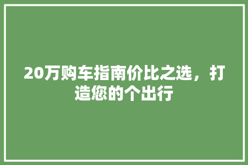 20万购车指南价比之选，打造您的个出行