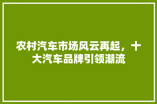 农村汽车市场风云再起，十大汽车品牌引领潮流