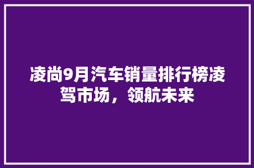 凌尚9月汽车销量排行榜凌驾市场，领航未来