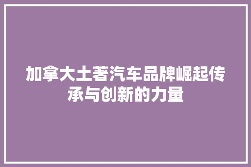 加拿大土著汽车品牌崛起传承与创新的力量