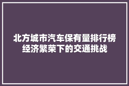 北方城市汽车保有量排行榜经济繁荣下的交通挑战