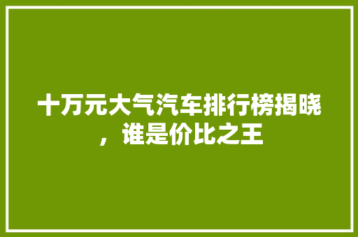 十万元大气汽车排行榜揭晓，谁是价比之王