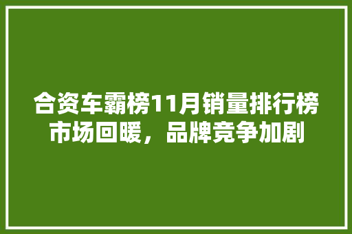 合资车霸榜11月销量排行榜市场回暖，品牌竞争加剧