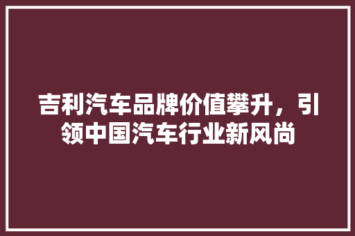 吉利汽车品牌价值攀升，引领中国汽车行业新风尚  第1张