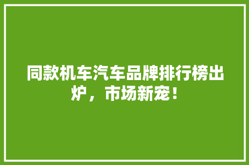 同款机车汽车品牌排行榜出炉，市场新宠！