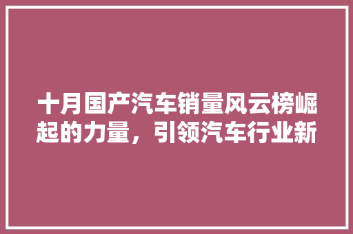 十月国产汽车销量风云榜崛起的力量，引领汽车行业新潮流  第1张