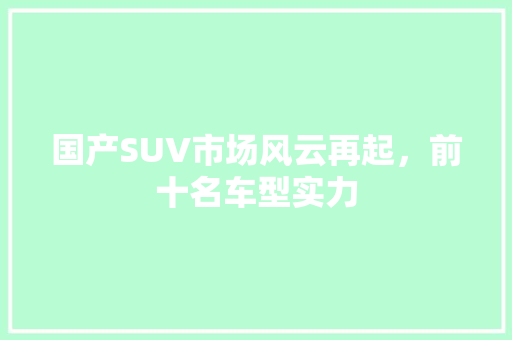 国产SUV市场风云再起，前十名车型实力  第1张