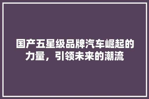国产五星级品牌汽车崛起的力量，引领未来的潮流  第1张