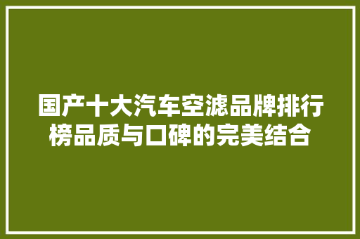 国产十大汽车空滤品牌排行榜品质与口碑的完美结合  第1张