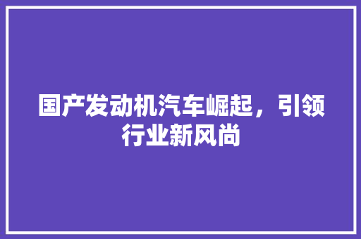 国产发动机汽车崛起，引领行业新风尚  第1张