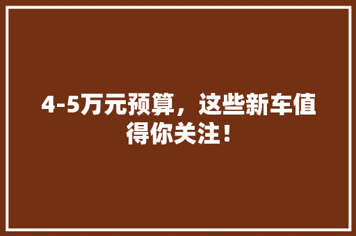 4-5万元预算，这些新车值得你关注！