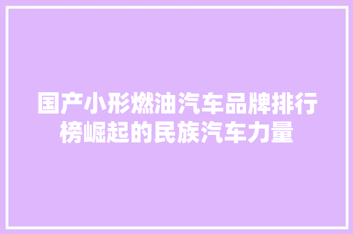 国产小形燃油汽车品牌排行榜崛起的民族汽车力量