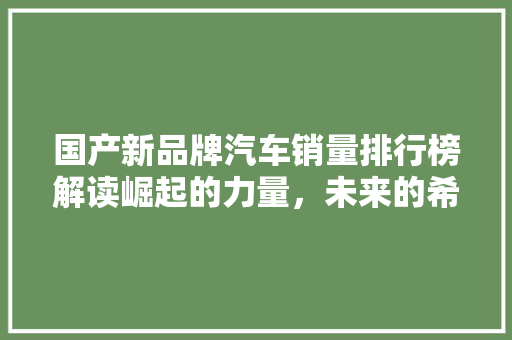 国产新品牌汽车销量排行榜解读崛起的力量，未来的希望  第1张