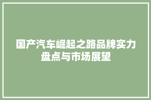 国产汽车崛起之路品牌实力盘点与市场展望  第1张