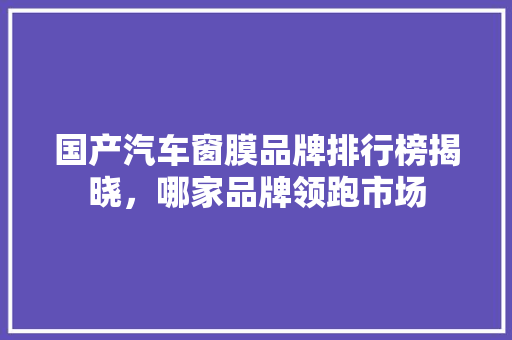 国产汽车窗膜品牌排行榜揭晓，哪家品牌领跑市场  第1张